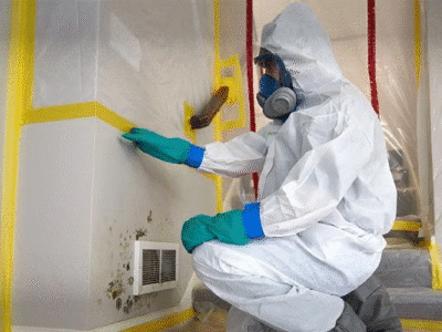 Mold remediation