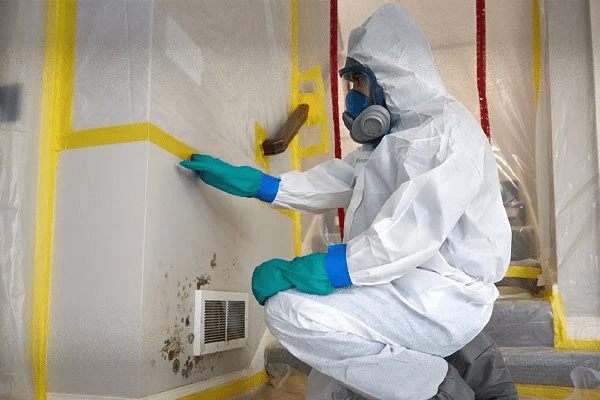 Mold remediation