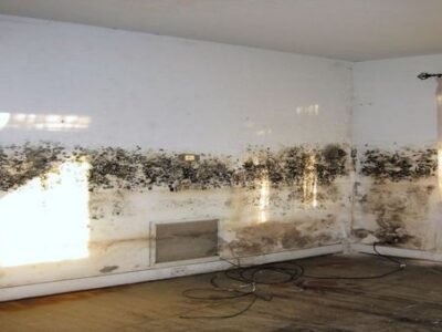 Mold Damage Restoration