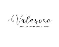 valasoromoldremediationfl